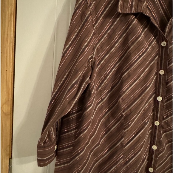 Erika Woman Sz 1X Brown Button Front Skirt VGUC ๐๐ - Picture 2 of 10